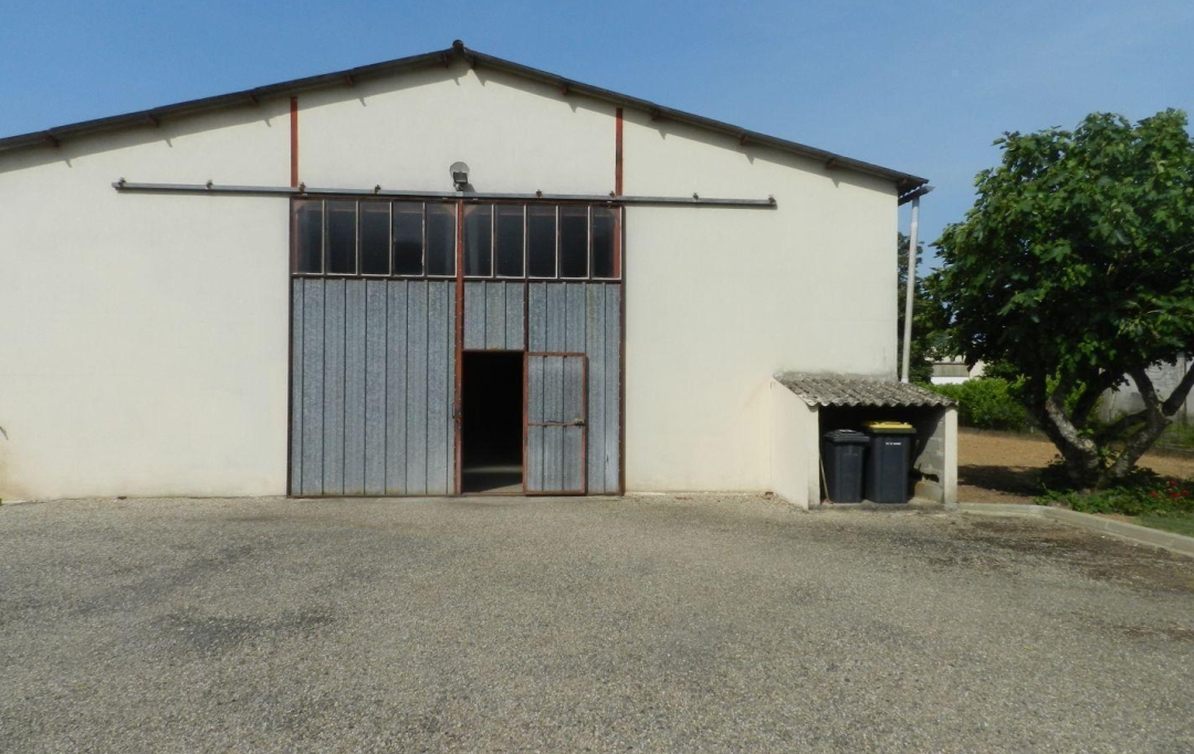 Annonces LOT ET GARONNE : Maison / Villa | TONNEINS (47400) | 159 m2 | 249 000 € 